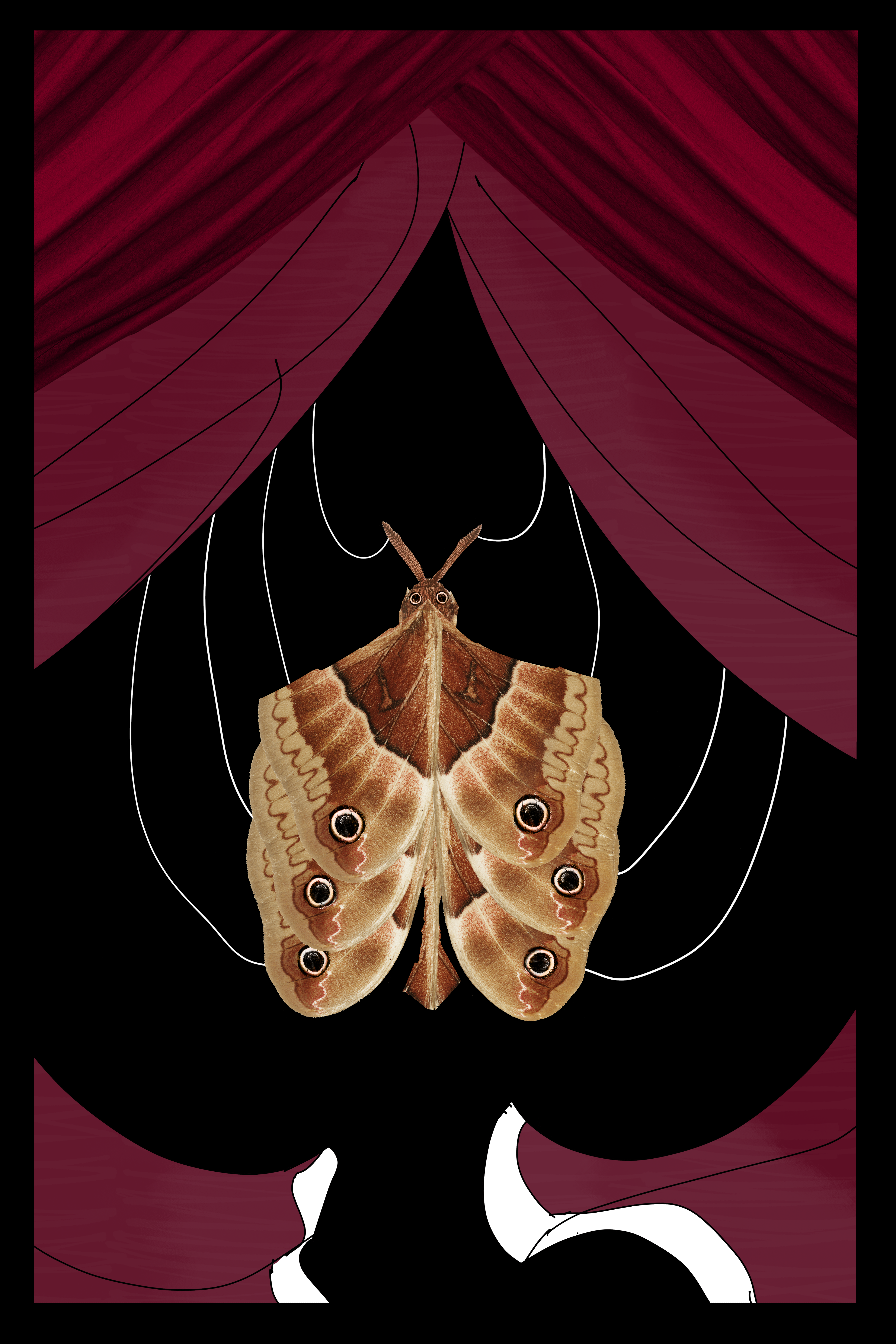 A red curtain mixed in with a photo of curtains. Curtains are opened and a moth on strings appears.