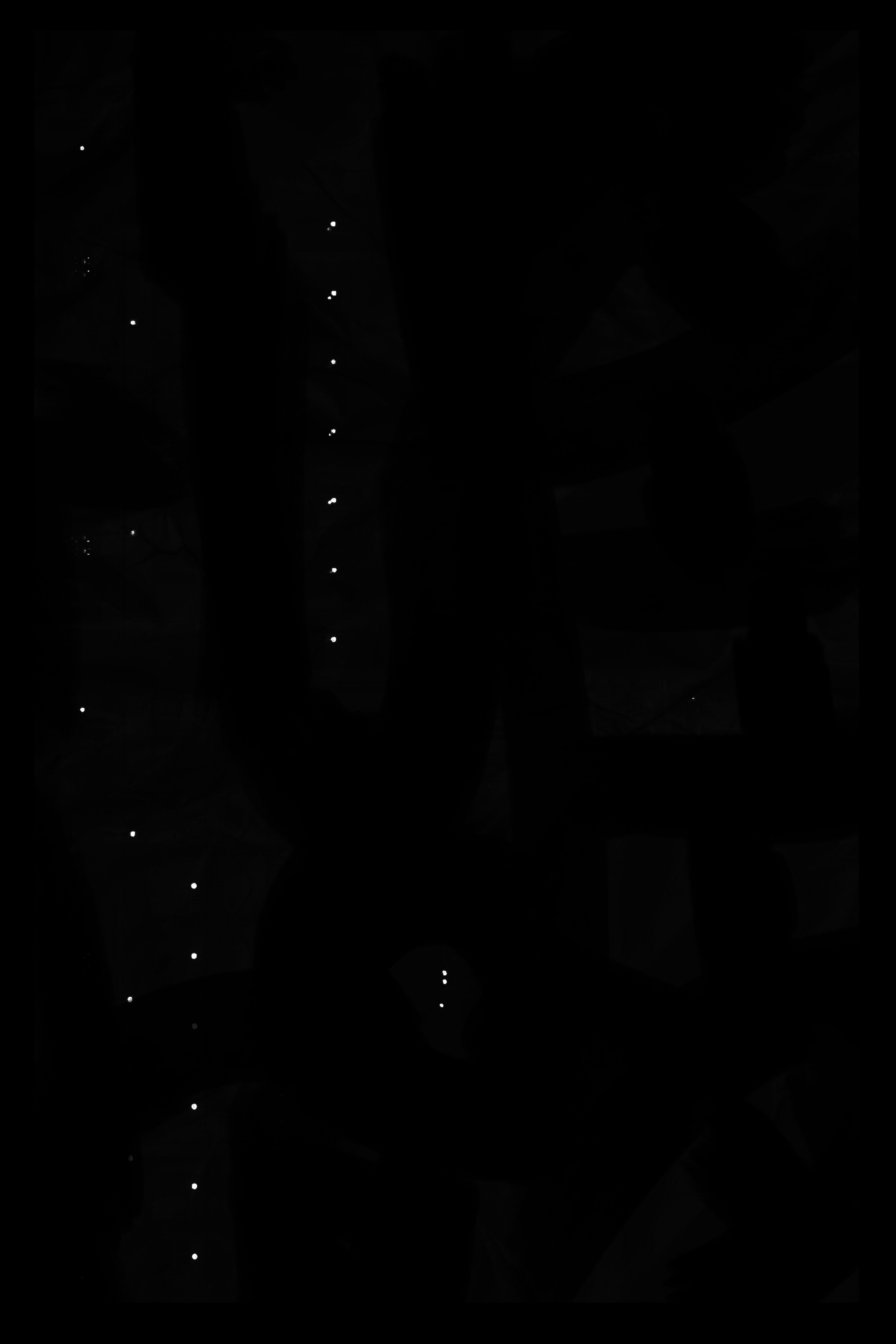 Black screen with white dots. The texture hides things. The eyes are always there, even if you don't want them to be.