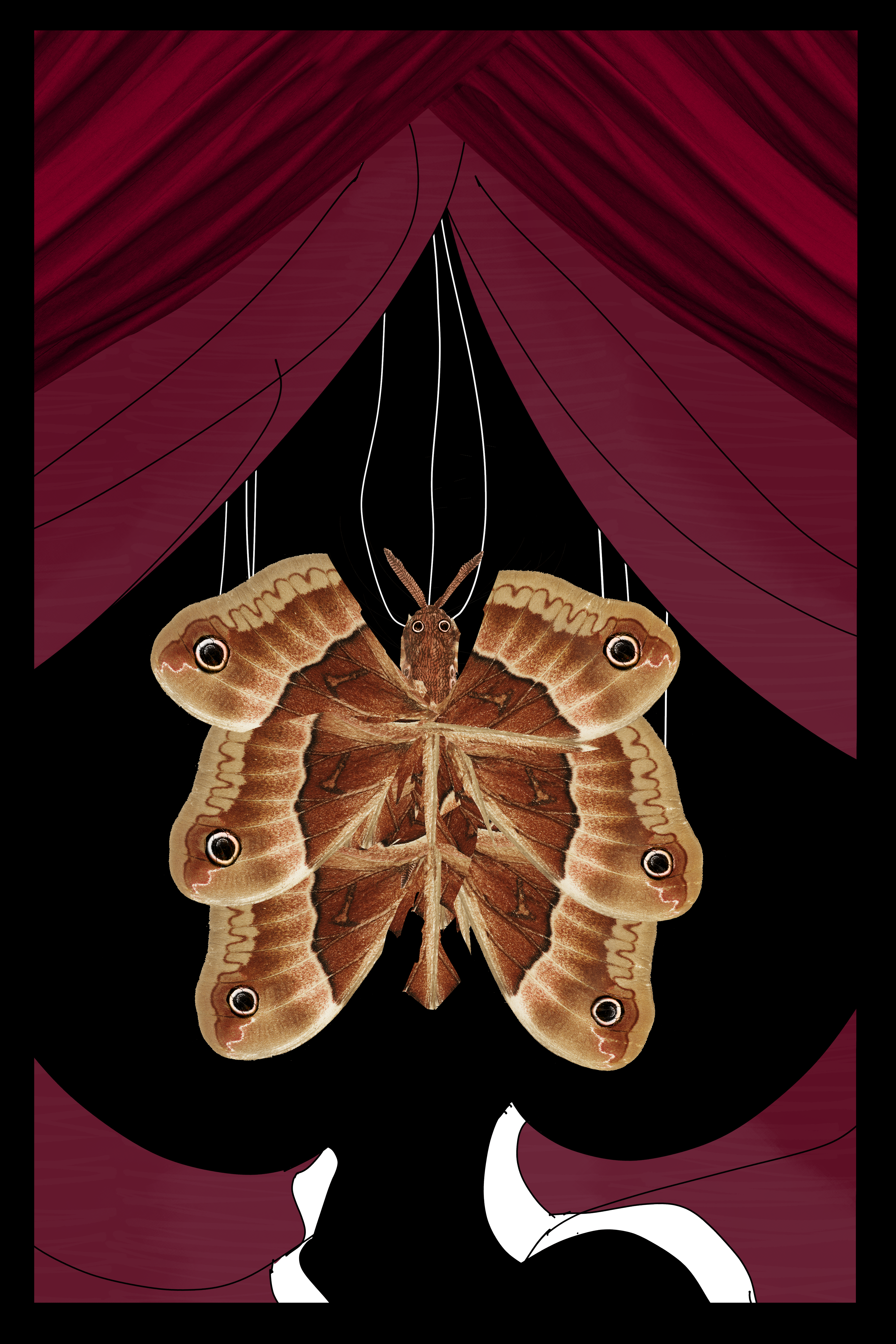 A red curtain mixed in with a photo of curtains. Curtains are opened and a moth on strings appears. The Moth spreads its wings.