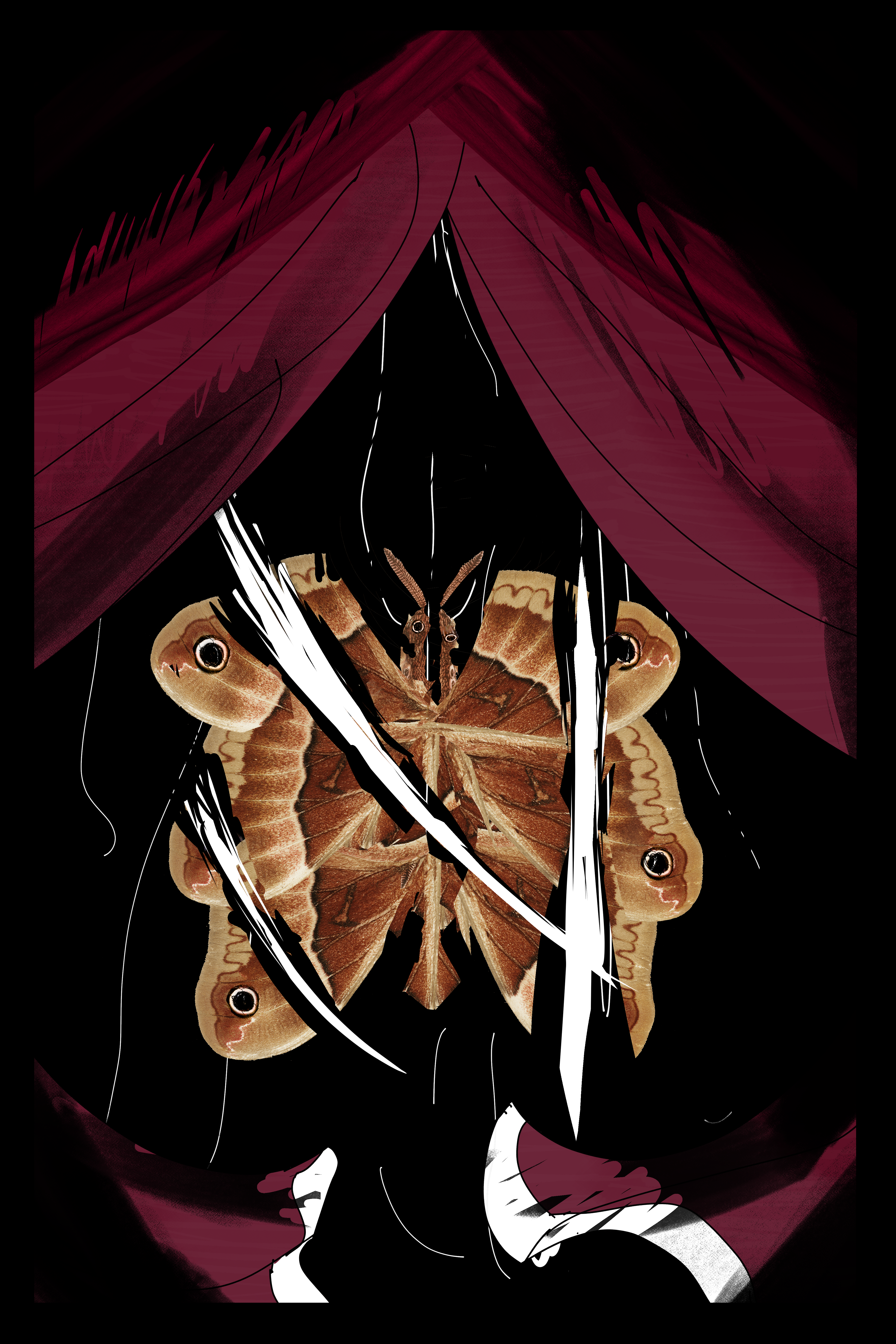 A red curtain mixed in with a photo of curtains. Curtains are opened and a moth on strings appears. The Moth spreads its wings and is cut. It falls apart.
